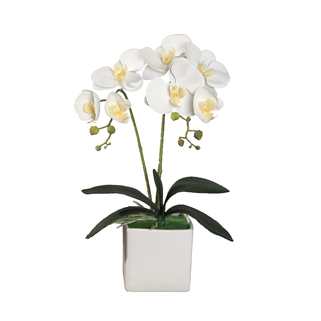 XDLEDMKIZ Realistic Artificial Flower Artificial Flower Set, Artificial Orchid with Vase, Artificial Flower and Potted Artificial Phalaenopsis Bonsai, for Living Room Dec