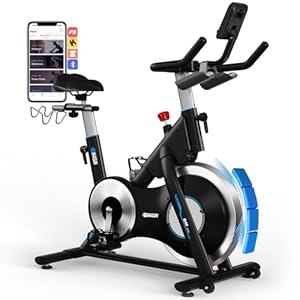 [2026 MODELL] Heimtrainer Fahrrad, DMASUN Ergometer Hometrainer Fahrrad mit Verstellbarem Magnetwiderstand, APP-Verbindung, Schwererem Schwungrad, LCD-Monitor, Höhenverstellbar, Fitnessbike Bis 180KG
