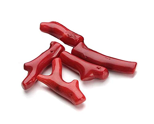 5PCS 2-4CM Baroque Imitate Red Coral Pendants Large Stick Dyed Coral Beads Red Branch Coral Beads DIY Necklace Bracelet Earrings Making