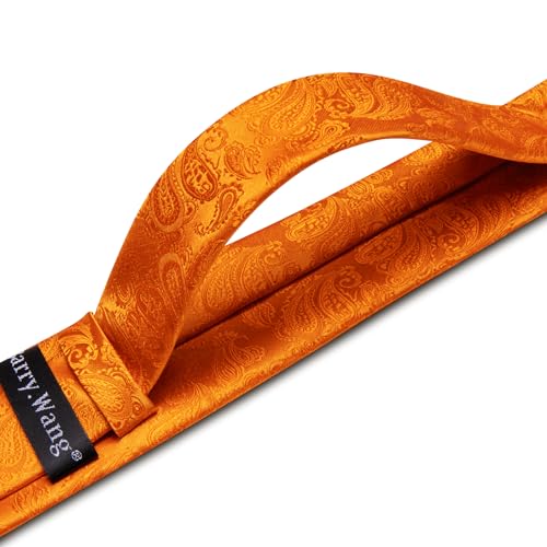 Image of Barry.Wang Paisley Tie Fashion Set Hanky Cufflinks Neckties for Men Woven Silk