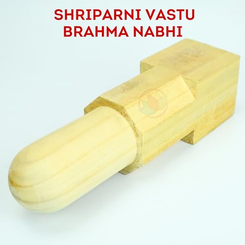 Image of REMEDYWALA Charged Vastu Shriparni Brahm Nabhi Shanku 10IN (No Color)