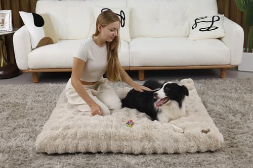 BingoPaw Hundebett Grosse Hunde waschbar: XXL Hundebetten flauschig Plüsch Hundematte für große mittelgroße Hunde, Hundekissen wasserdicht abnehmbar rutschfest Haustierbett Beige, 120x90x12 cm