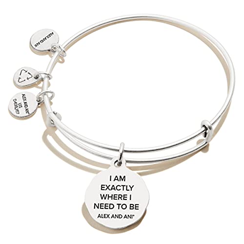 Alex and Ani Path of Life Bracelet2