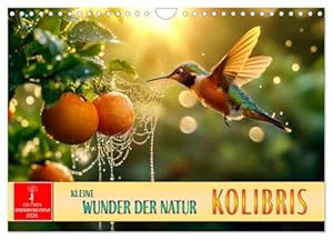 CALVENDO Kolibris Wandkalender 2026