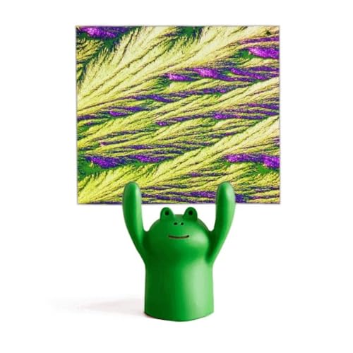 Support papier peint grenouille d'art aux plumes et roseaux fins