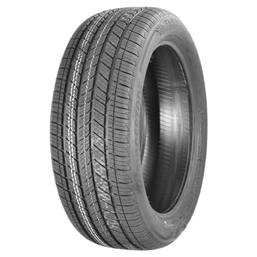 Turanza LS100 Touring All-Season Tire