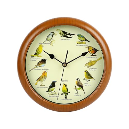Orologio da parete silenzioso, canto degli uccelli, chic da parete, con 12 uccelli canori, foto naturali, decorazione per la casa, orologio decorativo, silenzioso, adatto per soggiorno e camera da