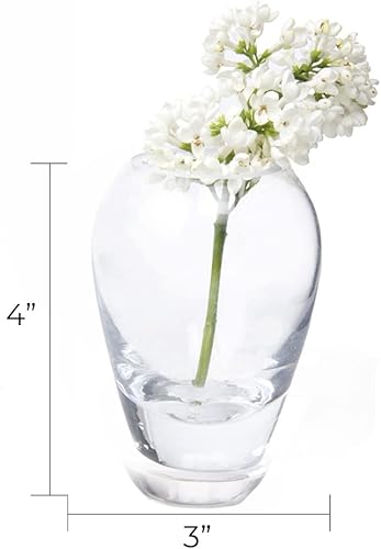 Miniatura 3 de CHIVE "George" - Jarrones de cristal para flores, juego de 6, pequeños y elegantes jarrones de cristal transparente, paquete a granel para
