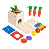FUNNETOYU Montessori Holzspielzeug Bunte Motorik Spielkasten für Ab Jahr Pädagogisches Sensorisches zur Farb und Formerkennung Robustes Kinderspielzeug Denkvermögen und Feinmotorik