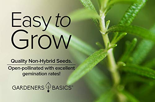 Rosemary-Seeds-for-Planting-It-is-A-Great-Heirloom-Non-GMO-Herb-Variety-Great-for-Indoor-and-Outdoor-Gardening-by-Gardeners-Basics Rosemary-Seeds-for-Planting-It-is-A-Great-Heirloom-Non-GMO-Herb-Variety-Great-for-Indoor-and-Outdoor-Gardening-by-Gardeners-Basics
