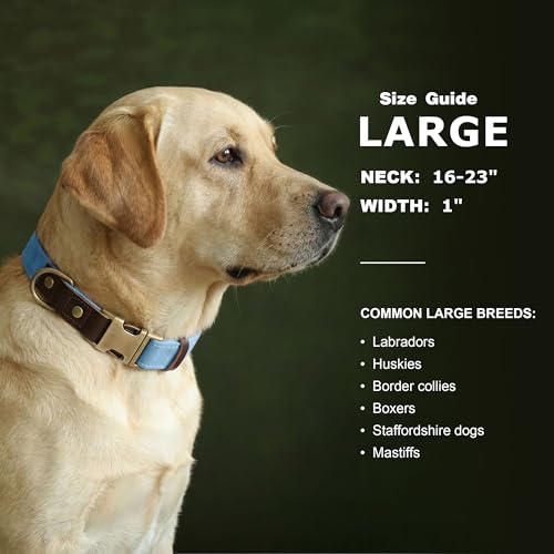 Image of Didog PU Leather Dog Collar for Large Dogs, Soft Nylon Lining, Denim Blue L