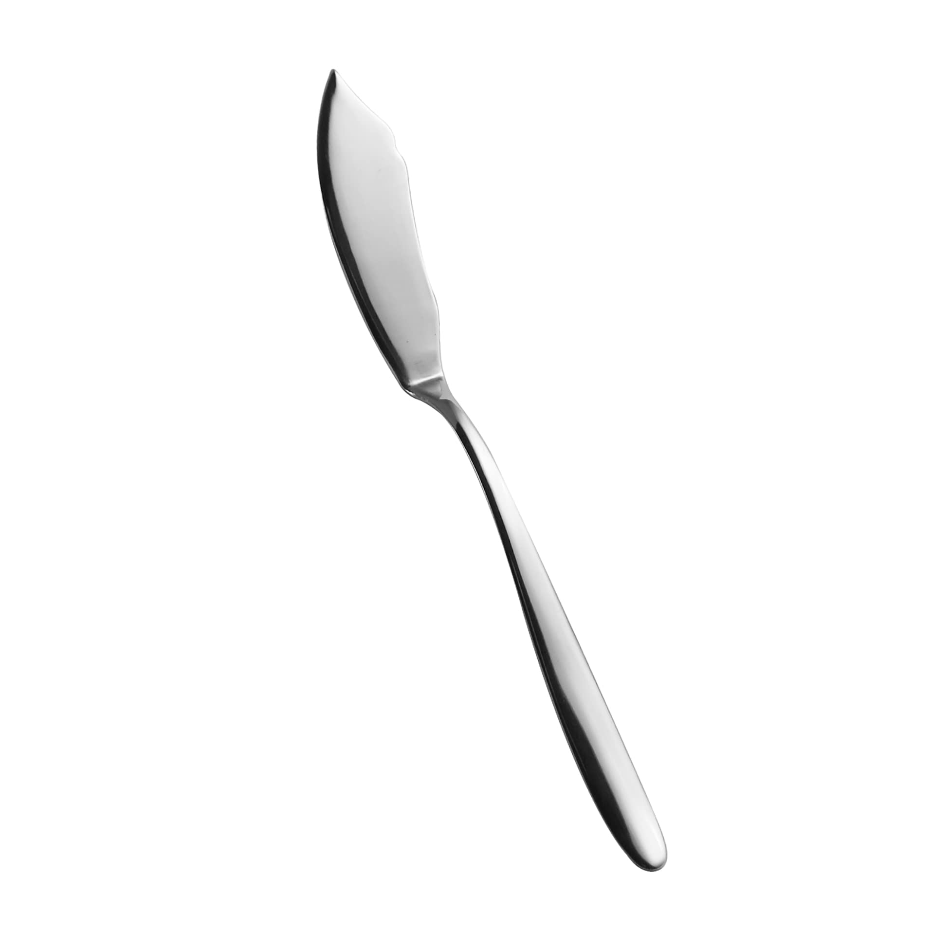 Salvinelli Fast Set Coltelli Pesce Acciaio Inox 18/10, Coltello da Pesce, 12 Pezzi, Spessore 2,5 mm, Made in Italy, Finitura Lucida