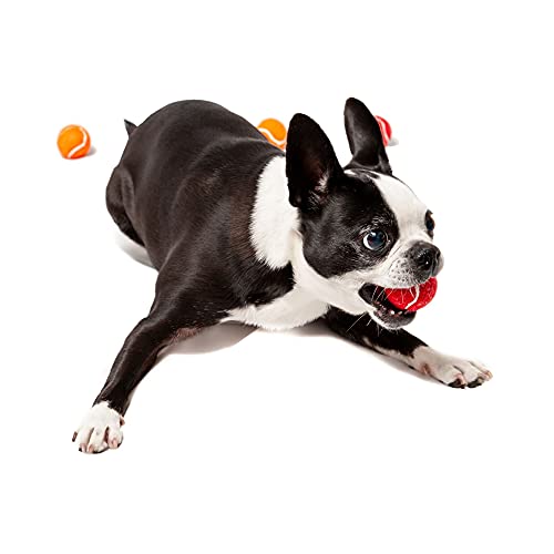 Midlee 1.5" Mini Dog Tennis Balls Bulk Set of 25 Assorted Colors