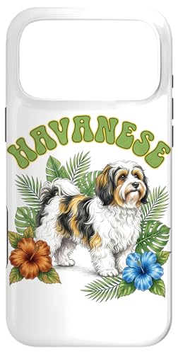 Havanese Groovy �ԕ� ���� �{�[�z�[ �n�o�j�[�Y���D�� �X�}�z�P�[�X iPhone 17 Pro Max �p