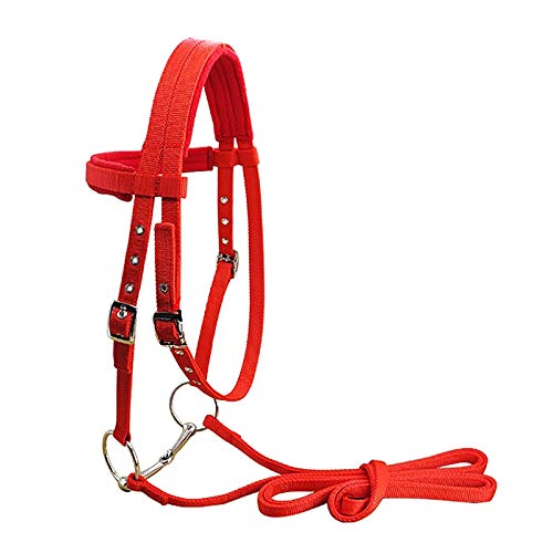 Riendas de hípica con cabestro de cuerda resistente para caballo 8