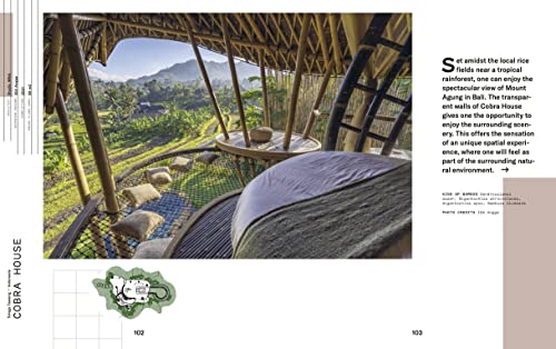 Bend & Build: Architecture with Bamboo