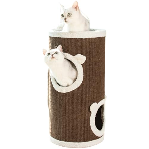 JUNENTER LpLbgnEXAXNb`pbhttLbgxbhƉƋABƓIȓAƃNbVȀ^ybgƑ^L̂߂̃_ȃLbg^[Rh~jA ()