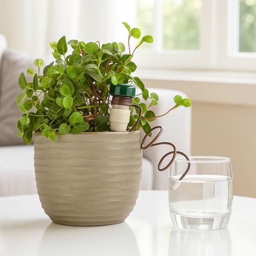 COM-FOUR® 32x Bewässerungskegel, Tonkegel mit Schlauch als Tropfsystem-Wasserspender im Urlaub, automatisches Bewässerungssystem für Zimmerpflanzen und Blumen (32 Stück - braun)