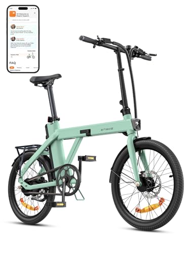 ENGWE Bicicleta Eléctrica Plegable, Batería 36V 9.6Ah, hasta 80km, Motor 250W, hasta 25km/h, Neumáticos 20 * 1.95 Pulgadas, Bici Eléctrica P20 Commuter