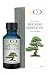 Optimally Organic Wild-Crafted Red Pine Needle Oil - Immune System Support