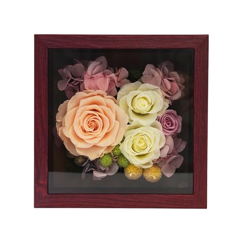 vU[uht[ t[ v[g ỉ LO  o MtghCt[ AW ͂Ȃ   j i N Êj j LO Vz j  ̓ ̓ (AvRbg)