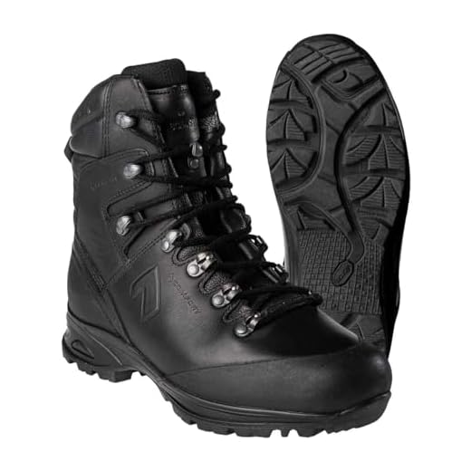 Haix Bottes de combat originales de l'armée allemande 2018 Commander, taille : 42 (8), Noir , 42 EU