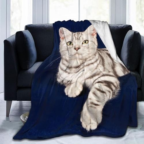 �ѕz �A�����J���V���[�g�w�A �L�� ���F �A�j�� �Ђ��|�� �y�� ���� �u�����P�b�g �t�����l�� �􂦂� �Ód�C�h�~ �g���� �_�炩�� �Ȃ߂炩�Ȕ��G�� �l�G�K�p ���蕨 127×152cm fx197 60x50inch