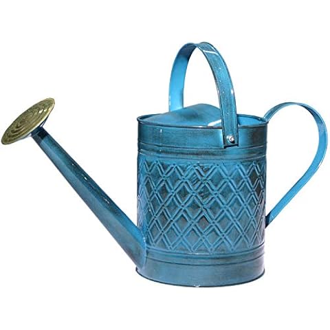 Robert Allen Home & Garden MPT01503 Robert Allen MPT011503 Wexley Metal, 2 Gallon, Mountain Waves 5 Gallon Watering can, 2 gal Cover