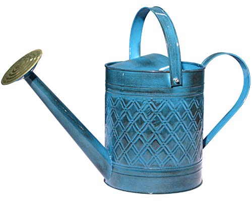 Robert Allen Home & Garden MPT01503 Robert Allen MPT011503 Wexley Metal, 2 Gallon, Mountain Waves 5 Gallon Watering can, 2 gal