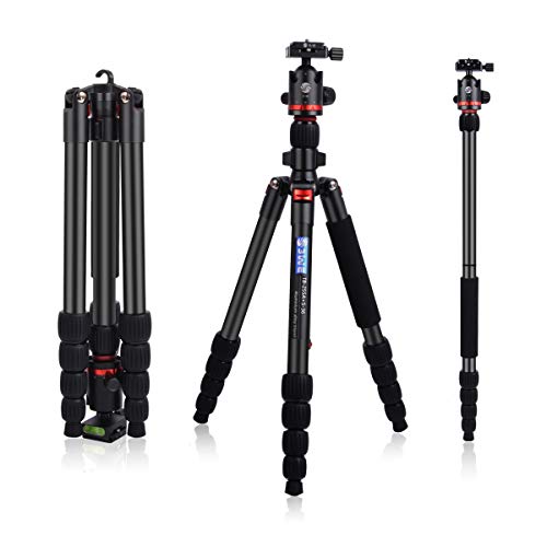 3WE 65'' DSLR Tripod, Lightweight and Compact Aluminum Camera Tripod with 360 Panorama Ball Head Quick Release Plate for Travel and Work (Black)