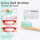 BlueForest Era Bamboo Toothbrushes, Natural Bristles Plastic Free Toothbrush, Non Toixc Wooden Organic Toothbrushes, Bamboo Tooth Brush Soft, Biodegradable All Natural Toothbrush for Adults