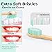 BlueForest Era Bamboo Toothbrushes, Natural Bristles Plastic Free Toothbrush, Non Toixc Wooden Organic Toothbrushes, Bamboo Tooth Brush Soft, Biodegradable All Natural Toothbrush for Adults