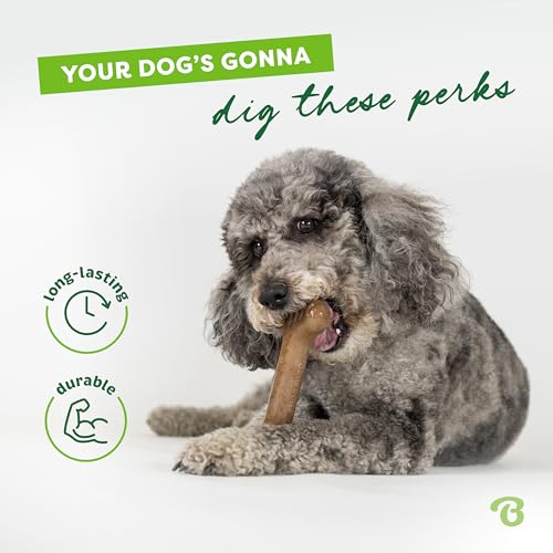 Image of Benebone Bone Durable Dog Chew Toy for Aggressive Chewers, Real Bacon, Made in USA, Giant