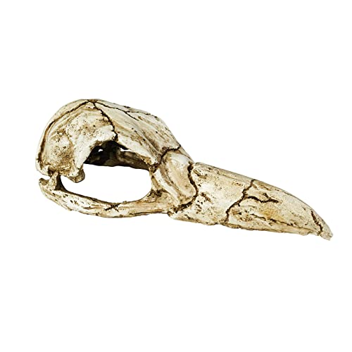 Decoración de acuario para peces, calavera, escondite, modelo de cueva, resina, reptil, hábitat decorativo para peces, camarones, lagarto, geckos, serpiente, arañas, ranas, terrario, paisaje Cover