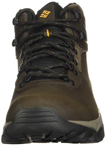 Columbia Men's Newton Ridge Plus II Waterproof Hiking Boot, Cordovan/Squash, 10.5 D US