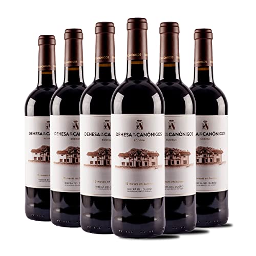 Dehesa de los Canónigos 2020 - Vino Tinto Crianza Ribera del Duero - Es Ideal Combinarlo con Guisos y Estofados - Pack 6 botellas 750ml