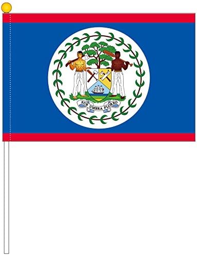 Amazon Tospa ベリーズ国旗ポータブルフラッグ 25 37 5cm テトロン製 地図 国旗 おもちゃ Amazon Tospa ベリーズ国旗ポータブルフラッグ 25 37 5cm テトロン製 地図 国旗 おもちゃ