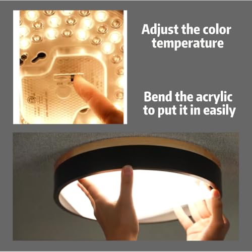 Image of Ken & Ricky 12 inch Modern Flush Mount Ceiling Light,Black,1 Pack