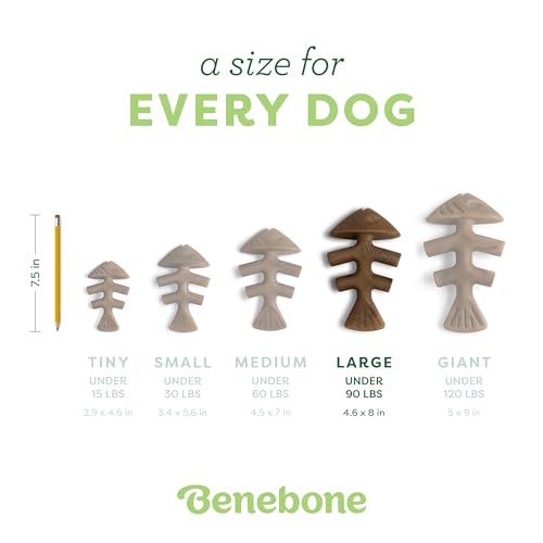 Benebone Espinha de peixe durável brinquedo mastigável para cães mastigadores agressivos, peixe real