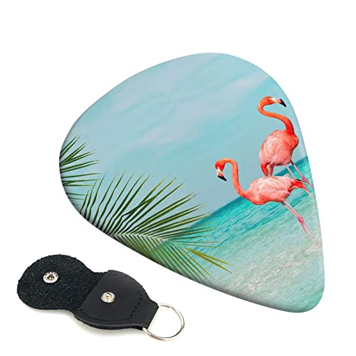 Flamingo In Water Lot de 6 médiators pour guitare acoustique, guitare électrique, basse, ukulélé – fins, moyens et épais… - Les Beatles, Paul McCartney, John Lennon, RIngo Starr, George Harrison Flamingo In Water Lot de 6 médiators pour guitare acoustique, guitare électrique, basse, ukulélé – fins, moyens et épais…