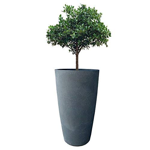 - YUCCABE ITALIA FOXB VNR 18 INCH Pots for Plants Highly Durable Polymers Lightweight Indoor Outdoor, Tall Flower Pot Gamla Tree Planter Container Planters for Living Room, Balcony,Garden Home, Grey