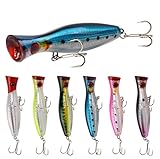 ダツは死亡事故例もある危険な魚 刺さるって本当 その生態や釣り方を紹介 釣りラボマガジン