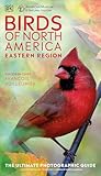 AMNH Birds of North America Eastern (DK North American Bird Guides)