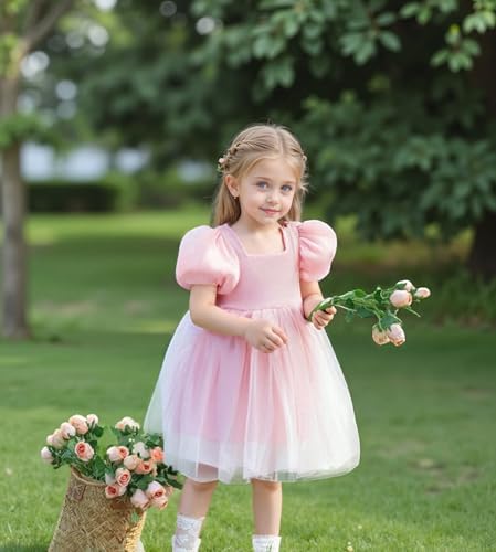 KARETT Summer Toddler Girl Dresses Tutu A Line Puffy Short Sleeve Casual Flower Girl Dress for Birthday Party 1-7Y3