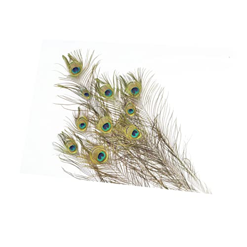 Tableau plumes de paon oiseau pour habiller un grand mur vide
