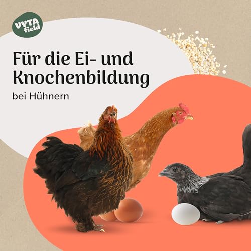 VYTAfield® Muschelgrit für Hühner | Natürlicher Futterkalk für Geflügel | Reich an Calcium | Grit für Hühner & Vögel | 5kg Mineralfutter | Ohne künstliche Zusätze | Made in Austria