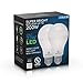 Great Eagle LED 23W Light Bulb (Replaces 150W – 200W) A21 Size with 2600 Lumens, Non-Dimmable, 5000K Daylight, UL Listed (2 Pack)