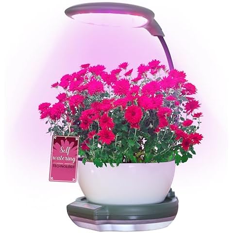 Dewilde Trading Co Plant Growing Light with Self-Watering Base, Adjustable Full Spectrum LED Lamp, 1-24 Hour Timer, Ideal for Outdoor or Indoor Plants, Convenient for Busy Professionals Cover