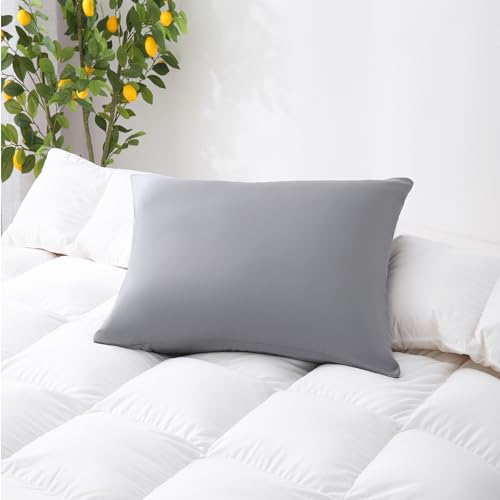 ZPECC Dark Gray Pillow Cases Standard Size Set of 4, 20x26 Envelope Closure Pillowcases, Soft Plain Brushed Microfiber Covers Hypoallergenic Breathable