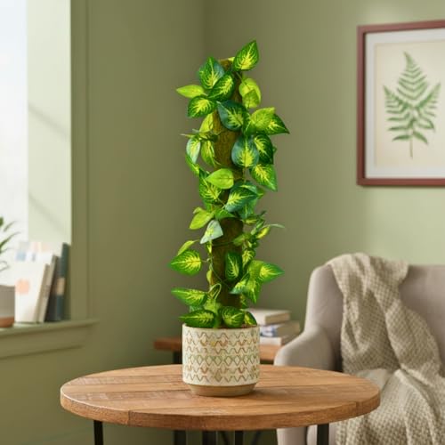 Image of fancymart Artificial Leaves Vine on Moss Stick 60 cm (Without Pot) | Decorative Indoor Plant for Home, Office, Cafe & Restaurant